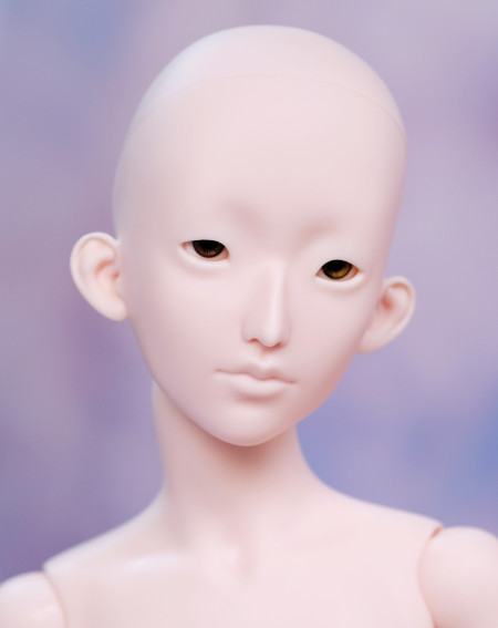 Tsubaki Head